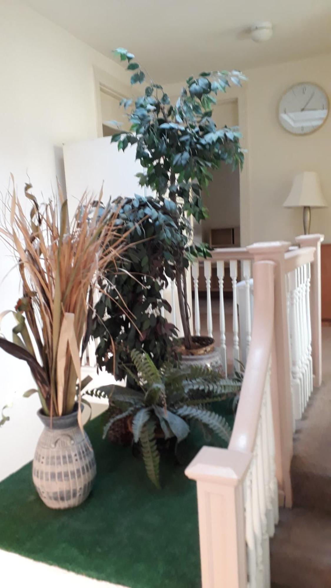 Pleasant Rooming House Вашингтон Экстерьер фото